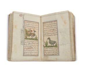 Livre illustré