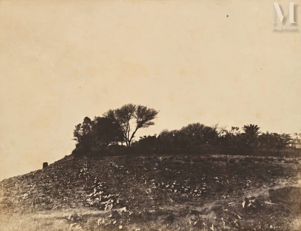 Photographie de paysage : estimation gratuite