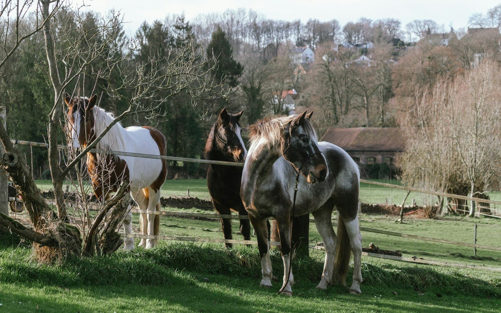 Brabant Wallon